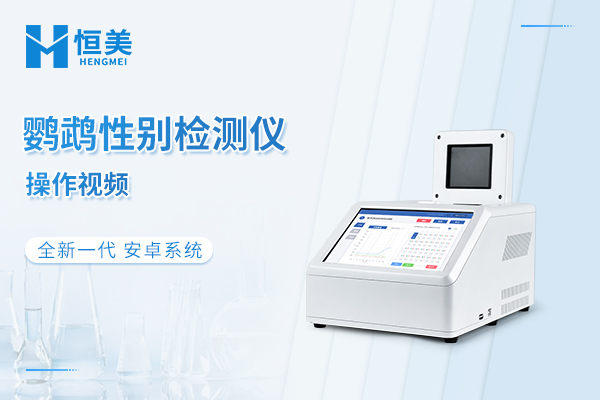 鹦鹉性别检测仪操作视频
