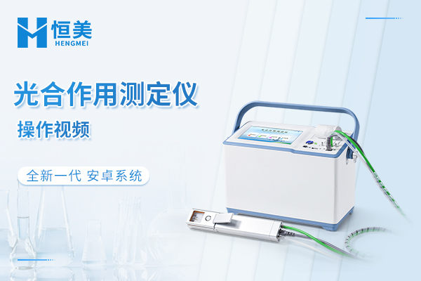 光合作用测定仪操作视频
