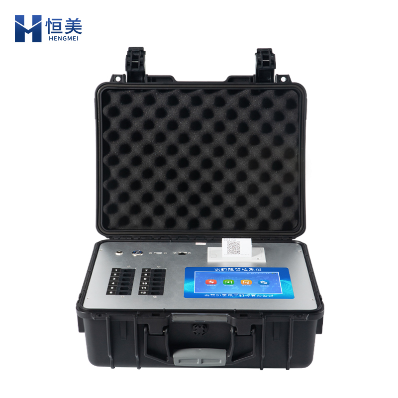 恒美智造农产品农药残留检测仪器行业应用：果蔬安全的行业实践