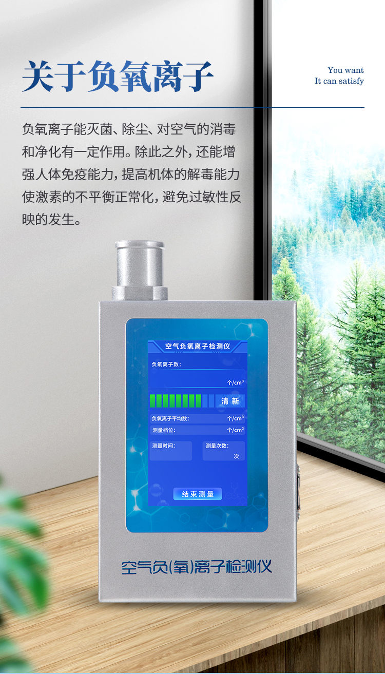 负氧离子检测仪 (3)