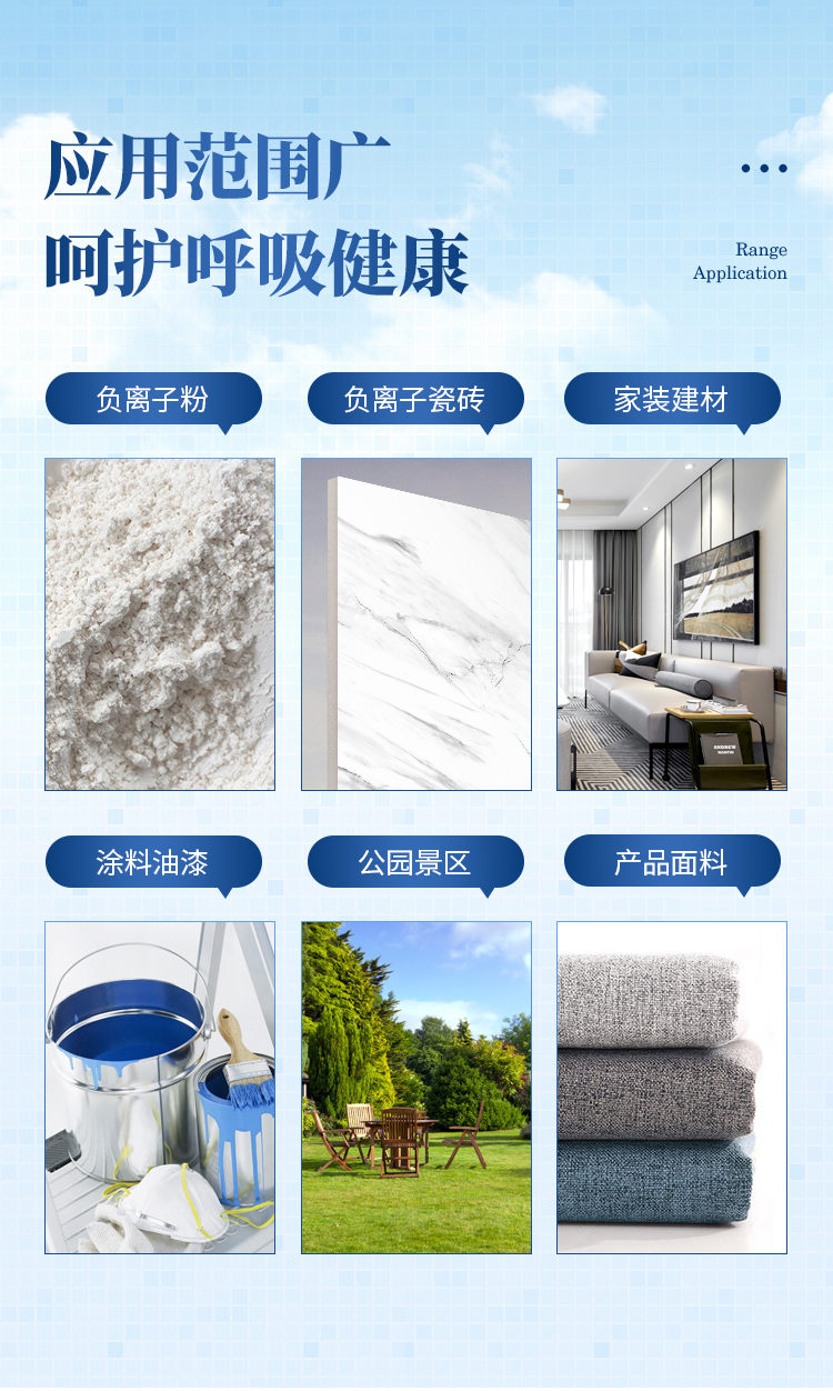 负氧离子检测仪 (4)