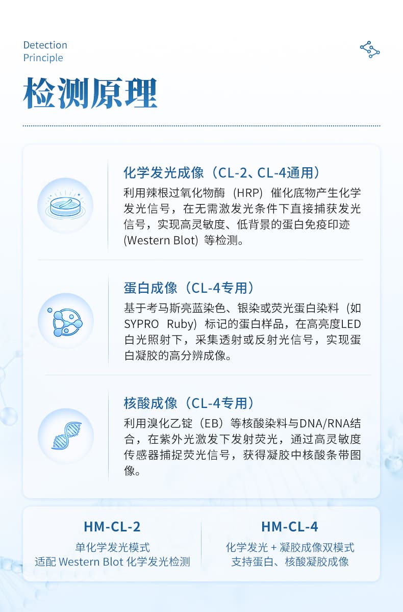 化学发光成像仪_03